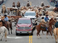 Dodge Ram 1500 photo